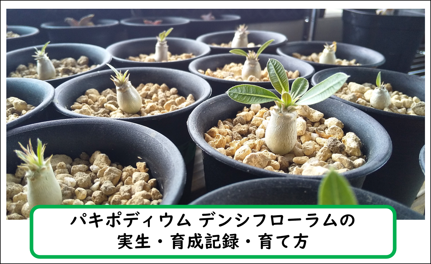 078105157aa96c15f084d6c79f4ef1