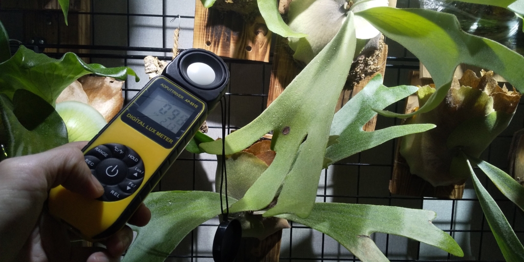 照度計　植物育成ライト　測定